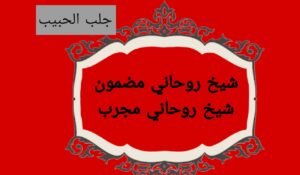 تهيج الحبيب رد المطلقه