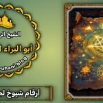 جلب الحبيب رقم شيخ روحاني مضمون