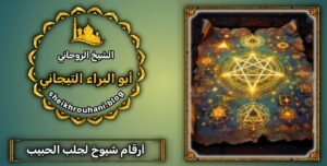 جلب الحبيب رقم شيخ روحاني مضمون