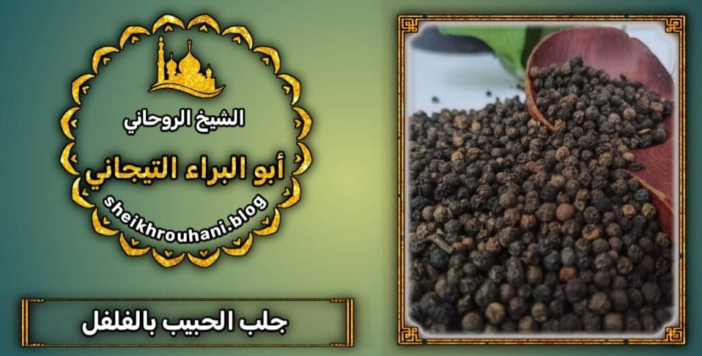 جلب الحبيب - مجررب مضمون